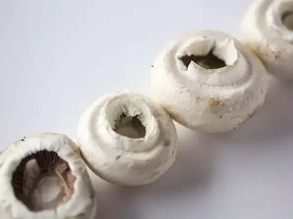 マッシュルームの『裏の黒ずみ』の正体　知らずに捨てていた事実に大後悔【食材の豆知識4選】