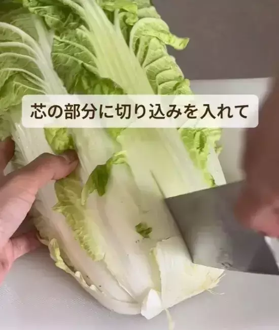買ってきた白菜、保存前に『斜め』に切って！「知らなかった」「絶対試す」