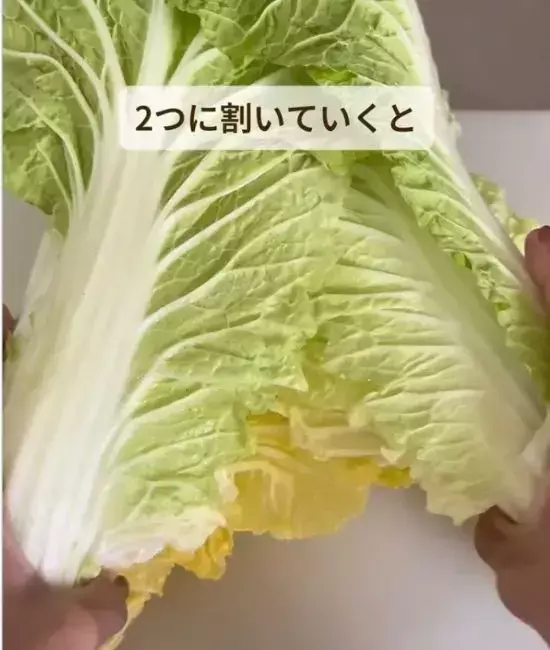 買ってきた白菜、保存前に『斜め』に切って！「知らなかった」「絶対試す」