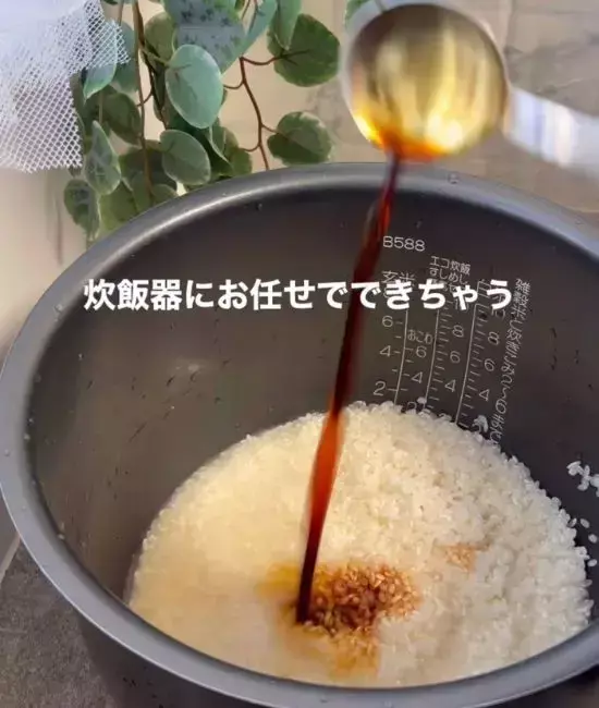 いつもの白米に『切り餅２個』をのせて炊飯すると？　開けてビックリ！「これはズルい」「早速作る」