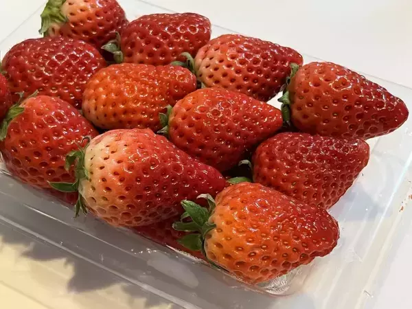 冷凍するイチゴに『ハチミツ』をかけると？　意外な変化に「知らなかった」「試してみる」【保存テク4選】