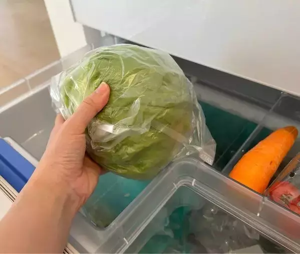 芯に『爪楊枝』を刺したレタス　5日後の変化に「知らなかった」「真似します」