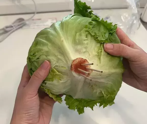 芯に『爪楊枝』を刺したレタス　5日後の変化に「知らなかった」「真似します」