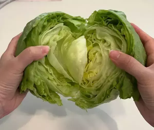 芯に『爪楊枝』を刺したレタス　5日後の変化に「知らなかった」「真似します」