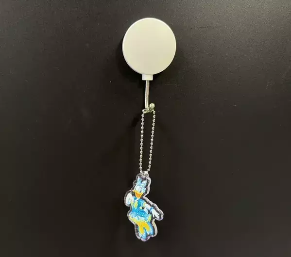 食べ終わっても捨てないで！　ディズニーシー25周年の『1300円お土産箱』、玄関に置いてみて