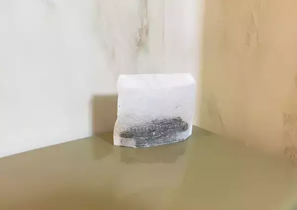 飲んだ後の緑茶の茶葉を炒めると？　『家政夫のミタゾノ』で学んだ意外な使い方を実践