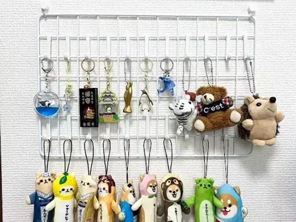 片づけのプロが実践する！　ワイヤーネットでカンタン「100均収納アイデア」【3選】