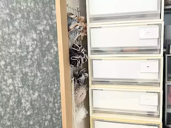 片づけのプロが実践する！　ワイヤーネットでカンタン「100均収納アイデア」【3選】