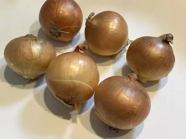 タマネギの両端を切って、『縦に切り込み』を入れると？　「目からウロコ」「早速やる」【下処理テク4選】