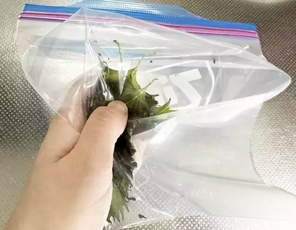 【大葉を救済】冷蔵庫で眠らせる前に…！　レンチン３分で万能ふりかけに