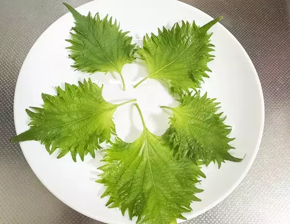 【大葉を救済】冷蔵庫で眠らせる前に…！　レンチン３分で万能ふりかけに