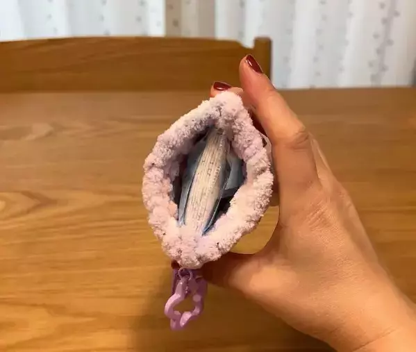 100均『鉢底ネット』にモールを通すと？　手作りのケースに「かわいすぎ」「絶対作る」