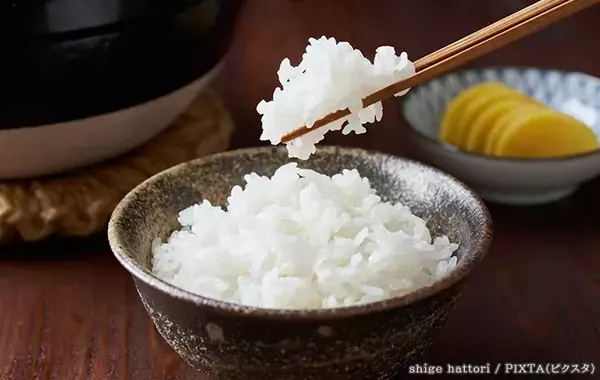 炊き立てのご飯、冷凍する前に？　調理のプロが教える『冷凍ご飯をおいしく保つコツ』