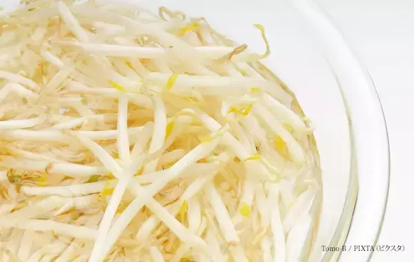 モヤシ、5日経ってもシャキシャキ！　カゴメが教える、食感が劇的に変わる保存のコツ