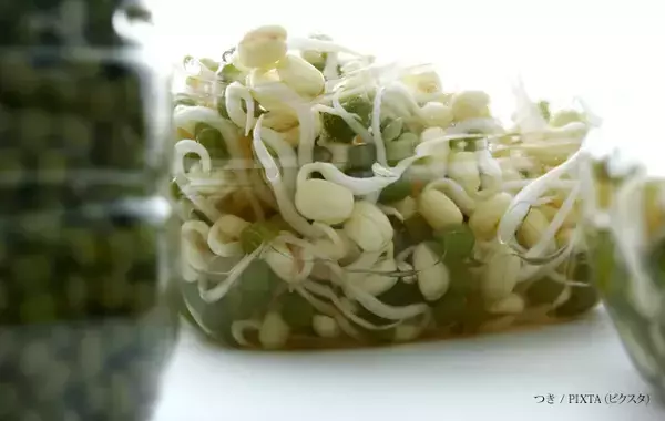 モヤシ、5日経ってもシャキシャキ！　カゴメが教える、食感が劇的に変わる保存のコツ