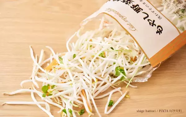 モヤシ、5日経ってもシャキシャキ！　カゴメが教える、食感が劇的に変わる保存のコツ