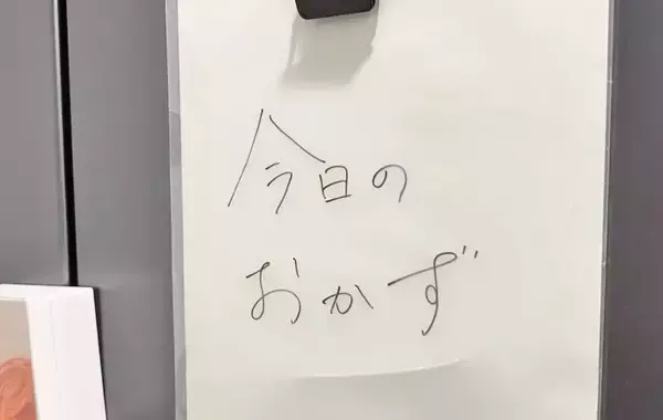 古いクリアファイルを冷蔵庫に貼ると？　家族が喜ぶ使い道に「捨てなくてよかった」