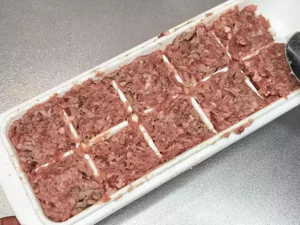 製氷皿に『ひき肉』を詰めたら…　できたものに「子供がパクパク食べた」「冷凍ストックにもいい」