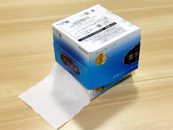 ティッシュの空箱は捨てないで！　2つ組み合わせて作れるケースに「すごく便利」
