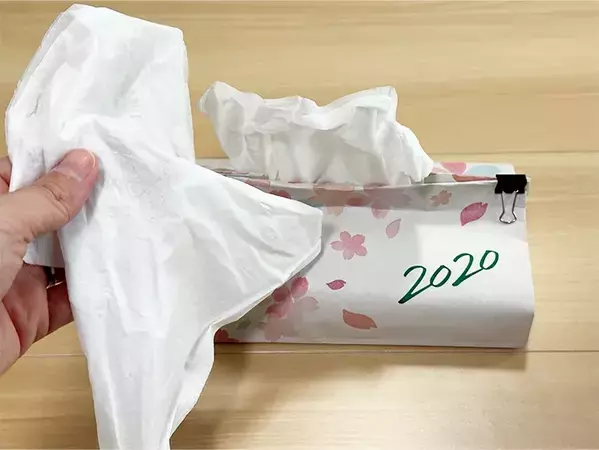 余った紙袋がティッシュケースに！　3分で完成するリメイク術に「テンション上がった」