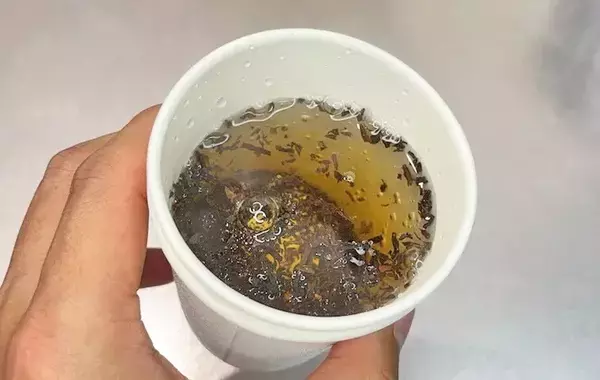 紙コップの底に「小さな穴」を開けるだけ　代用術に「知っておくと役立つ！」