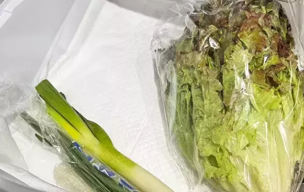 ペット飼っていなくてもほしい！　ペットシーツの意外な活用法に「掃除ラク」「使いやすい」