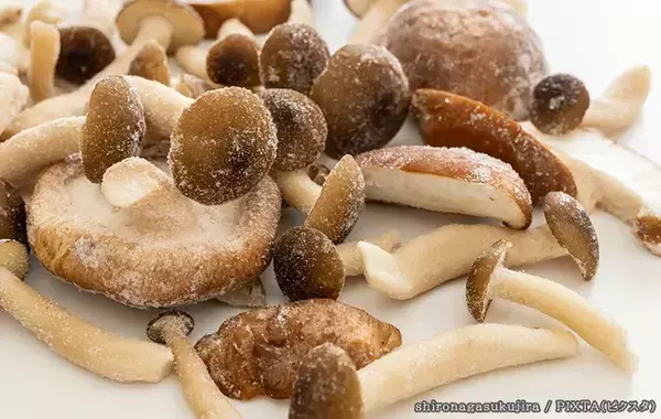 キノコは冷凍で味が変わる？知らないと損する保存のコツと仕組み