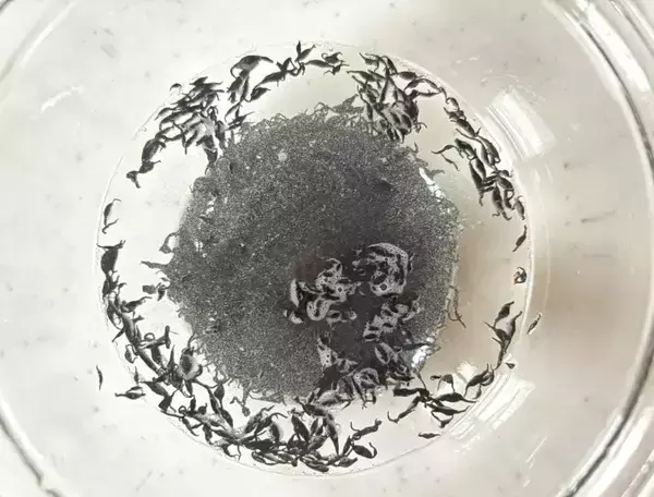 ピーマンと豆腐をフライパンで…　できた簡単おかずに「無言でパクパク」「夫が絶賛」