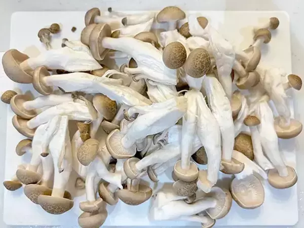 材料を炊飯器にドーン！　味付けはめんつゆだけの炊き込みご飯に「月2で作る」