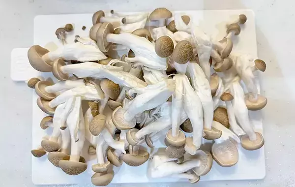 材料を炊飯器にドーン！　味付けはめんつゆだけの炊き込みご飯に「月2で作る」