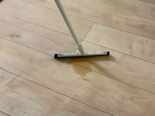 「もう雑巾は使いません」　セリアの優秀アイテムに「もっと早く知りたかった」