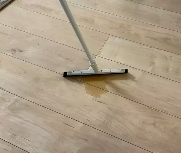 「もう雑巾は使いません」　セリアの優秀アイテムに「もっと早く知りたかった」