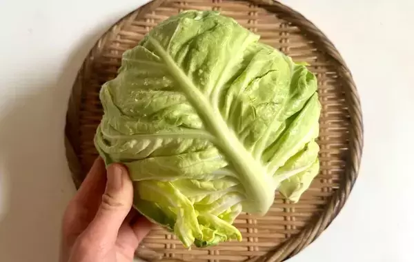 旬を楽しめるのは今だけ！　5分で作ったキャベツの簡単おかずに「息子が一気に完食」