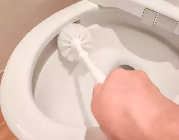 「もっと早く知りたかった」　トイレ掃除の意外な裏技に「実践します」「コレは快感」【掃除テク4選】
