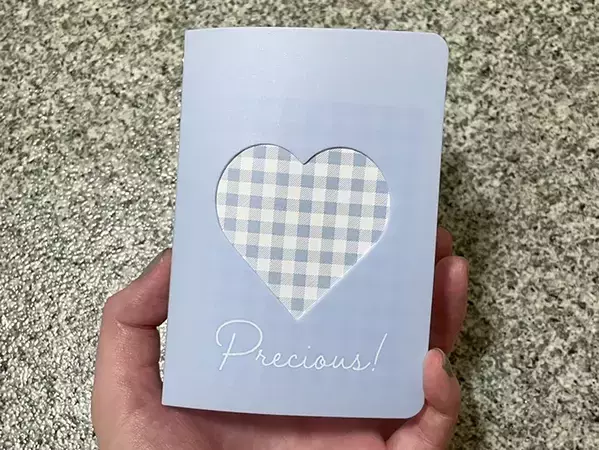 100均の『カードファイル』を旅行に！　「じゃない使い方」がパッキングに便利だった