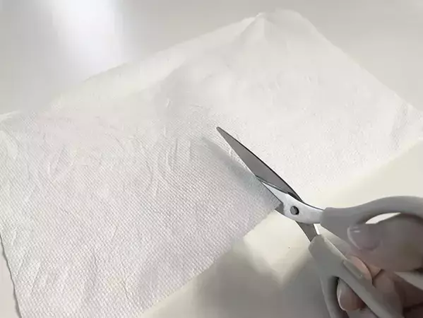 キッチンペーパーにハンドソープを塗って、カラカラに乾かすと…？　できたものに「屋外で使える！」