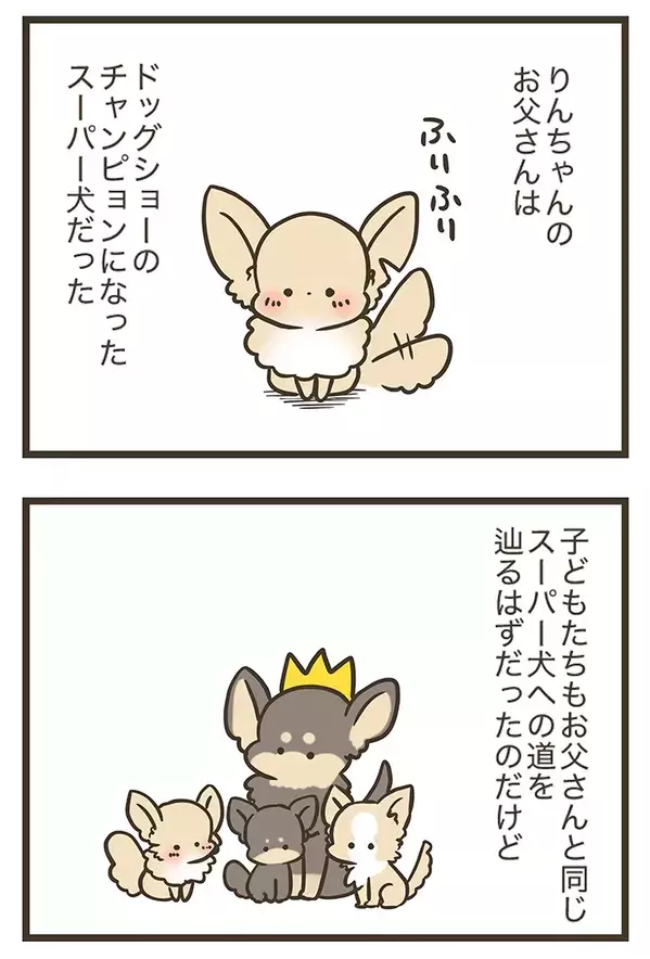 「こんなにも愛しているのに…」チワワに懐かれない三女、母親が明かした理由に納得？【連載】