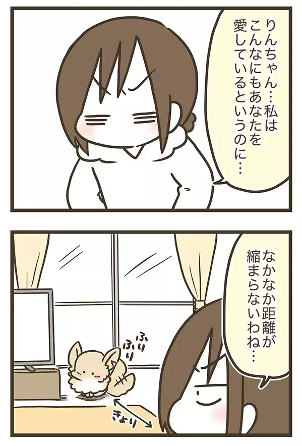 「こんなにも愛しているのに…」チワワに懐かれない三女、母親が明かした理由に納得？【連載】