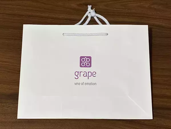 余った紙袋が『ゴミ箱』として使える！　100均アイテムと組み合わせる便利な方法