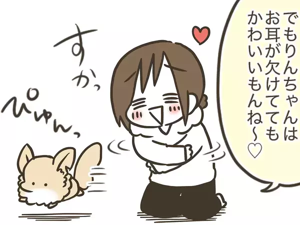 耳が欠けたチワワと実家で暮らす母親　見た目以外に『思うこと』があるようで…【連載】