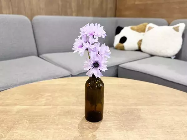 捨てるの待った！　飲み終わった栄養ドリンクの空きビン、意外な再利用テクニック【4選】
