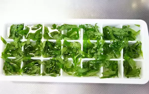 製氷皿に『大葉』を入れて…　完成したものに「え、何これ！」「便利すぎ」