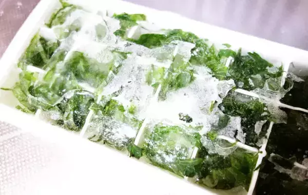 製氷皿に『大葉』を入れて…　完成したものに「え、何これ！」「便利すぎ」