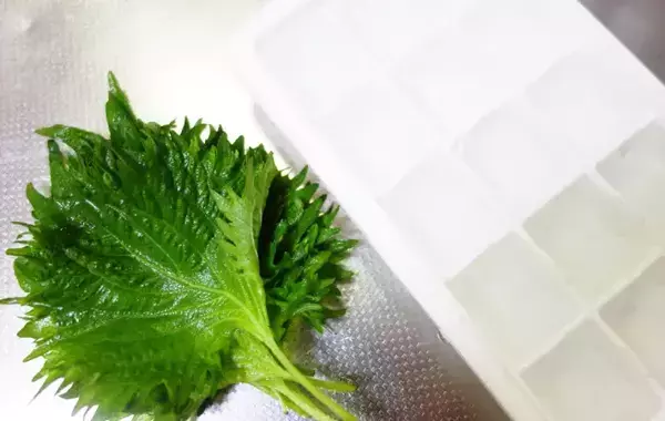 製氷皿に『大葉』を入れて…　完成したものに「え、何これ！」「便利すぎ」