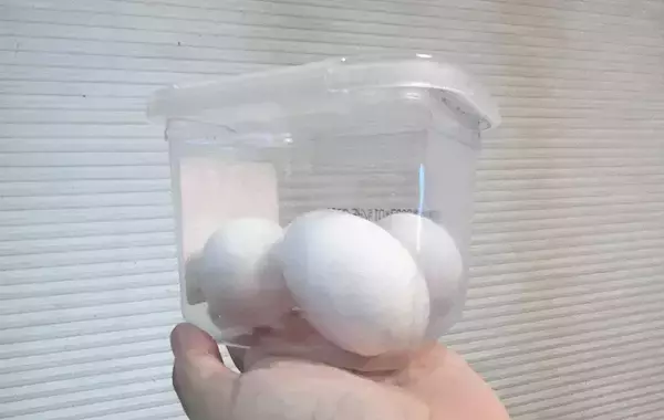 ダイソー『味噌のフタ』が万能すぎた！　3つの活用法を試したら「ピッタリ入る」「即買い足した」