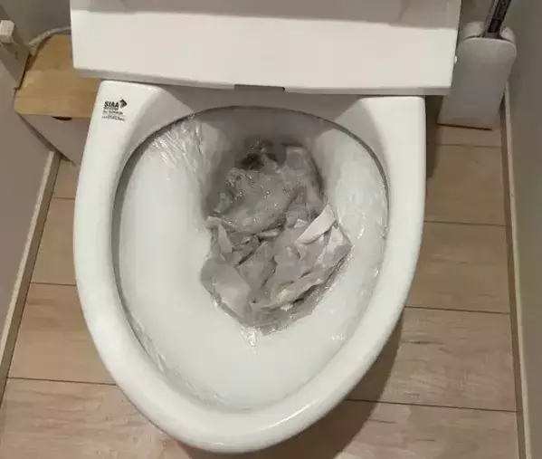トイレットペーパーを敷き詰めて！　花王推奨のトイレ掃除術に「もっと早く知りたかった」
