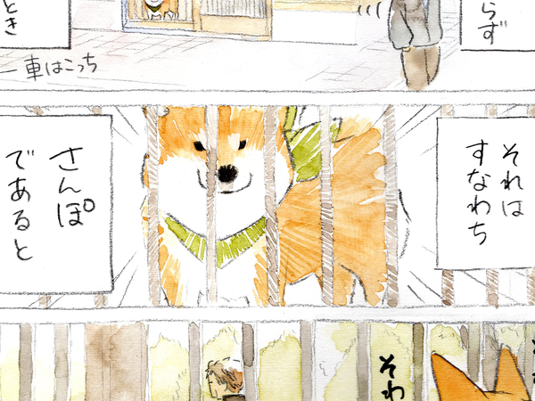 【犬あるある】散歩だと思ったら…　漫画で描く『柴犬の不満』に「すべてが愛おしい」
