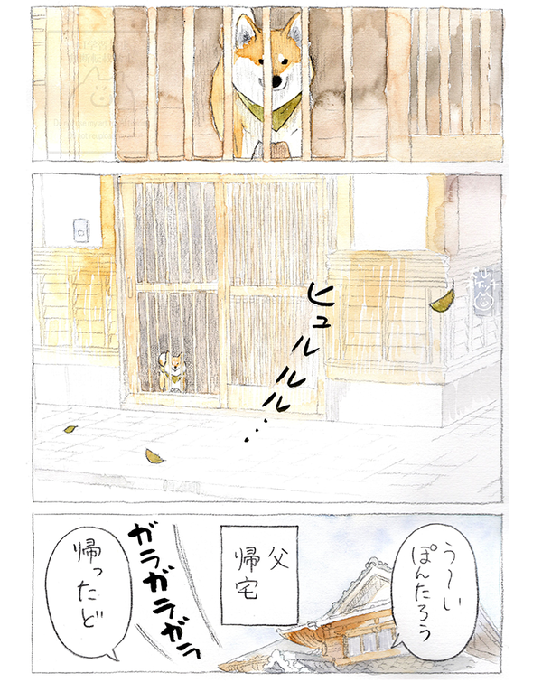 【犬あるある】散歩だと思ったら…　漫画で描く『柴犬の不満』に「すべてが愛おしい」