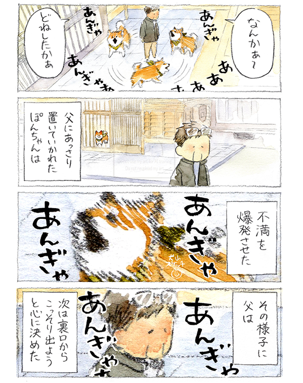 【犬あるある】散歩だと思ったら…　漫画で描く『柴犬の不満』に「すべてが愛おしい」
