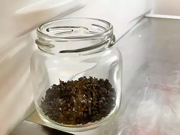 使い終わった麦茶パック、捨てるの待って！　再利用する方法に「早くやればよかった」